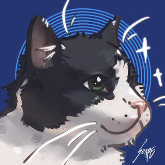 Gatto Gatto
